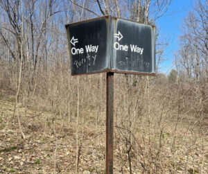 Photo of a sign pointing to two directions by Linette Reiki